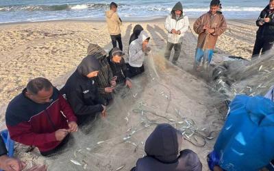 بازگشت صیادان غزه به دریا