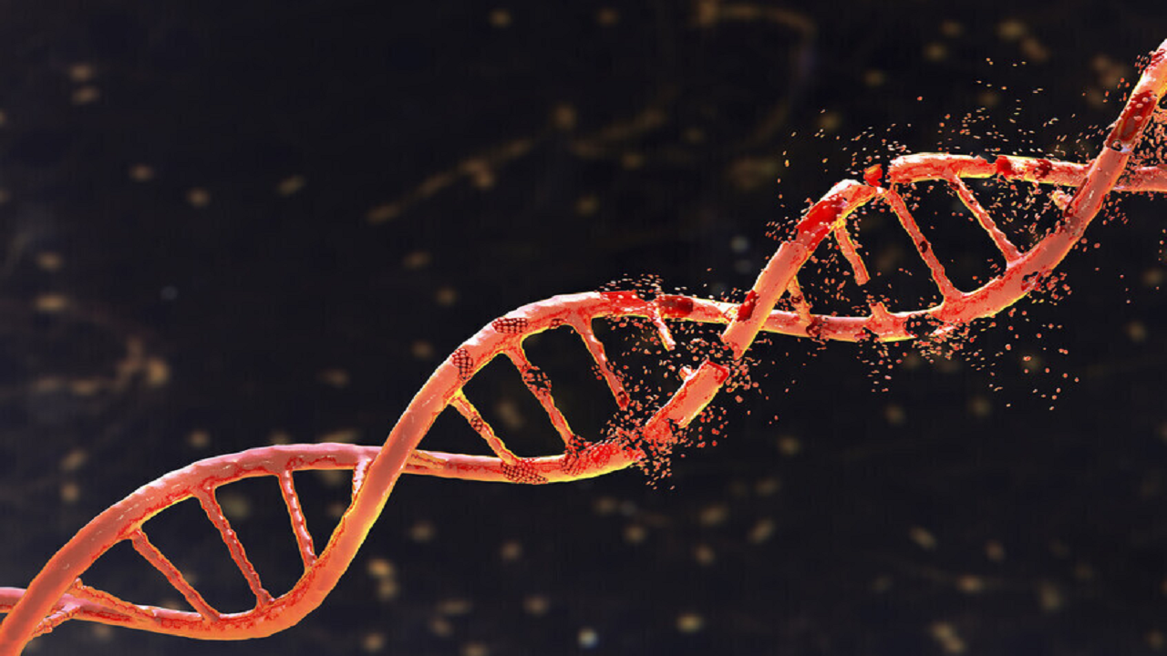 کند کردن روند سرطان روده 