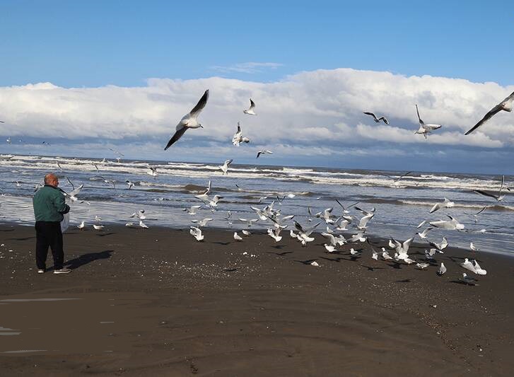 دریای خزردرفصل سرما