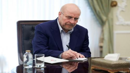 رئیس مجلس رحلت آیت الله سید هادی سیستانی را تسلیت گفت