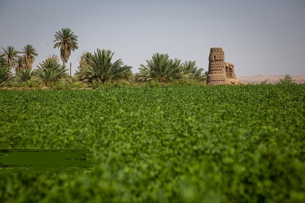  روستای برتر سال ۲۰۲۵ 