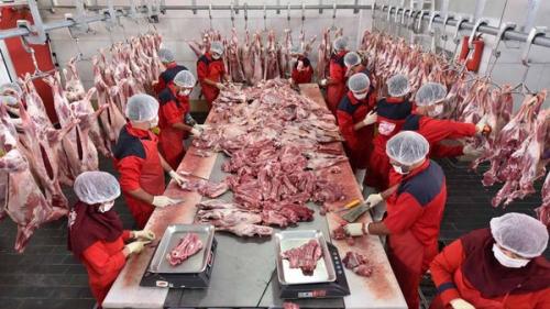 دلا یل افزایش نامتعارف قیمت گوشت