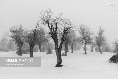 طبیعت زمستانی استان گلستان