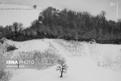 طبیعت زمستانی استان گلستان