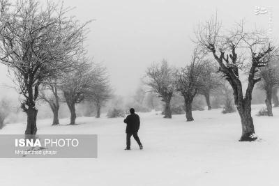 طبیعت زمستانی استان گلستان