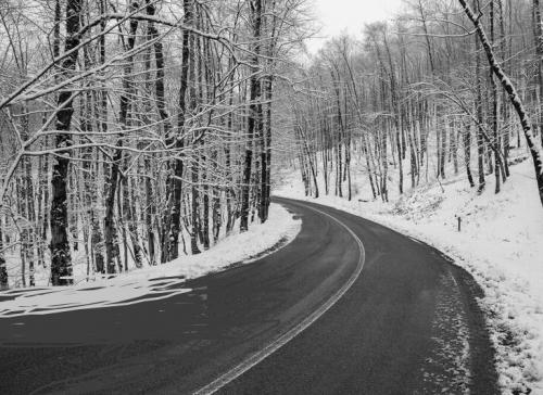 طبیعت زمستانی استان گلستان