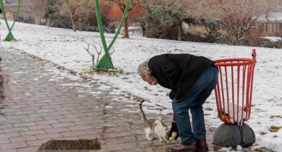 بارش برف زمستانی در ارومیه /عکس
