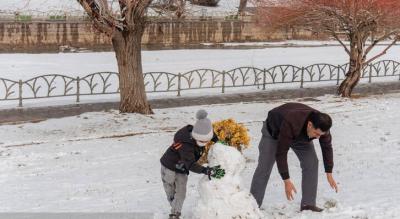 بارش برف زمستانی در ارومیه /عکس