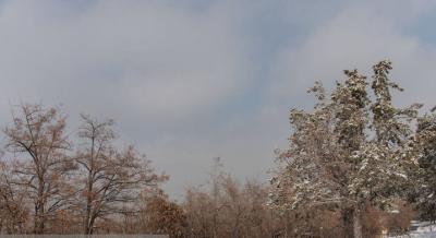 بارش برف زمستانی در ارومیه /عکس