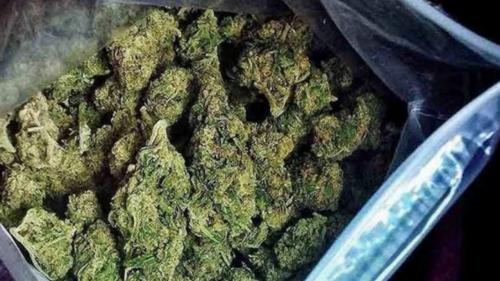 کشف ۴.۵ کیلوگرم مخدر از گل فروش شمال تهران