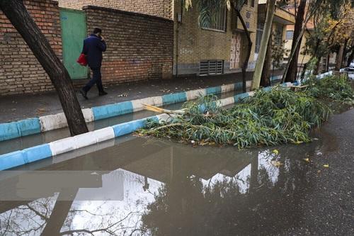 صدور هشدار بارش برای تهران طی فردا