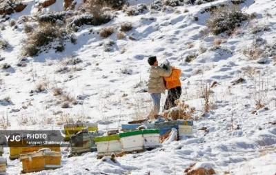 چهره سپید کوه‌های شهر شیراز