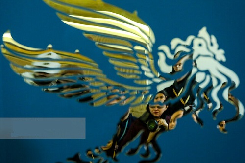 تمام آنچه از فیلم‌های فجر می‌دانیم 