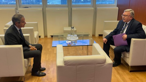 رایزنی اولیانوف و گروسی درباره ایران