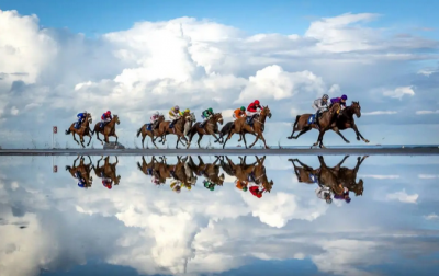 برگزیده ترین عکس های مسابقه عکاسی ورزشی 