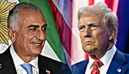 پهلوی، ترامپ زیادی نخور!  /فیلم 