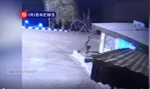 مشاهده یک قلاده پلنگ دراسفراین+فیلم