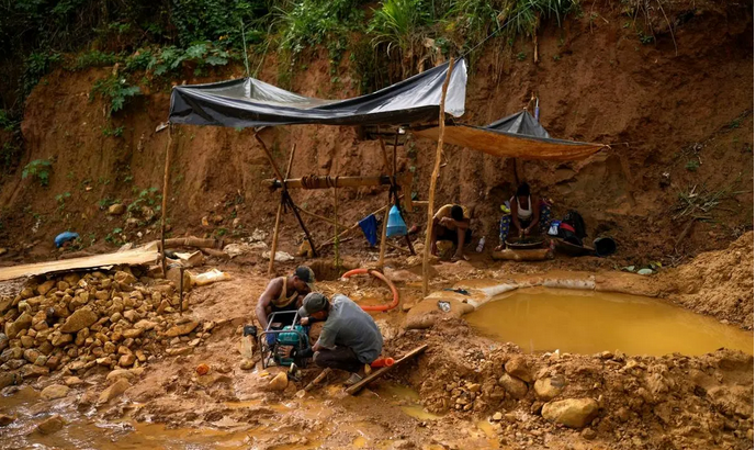  استخراج طلا در ونزوئلا /عکس