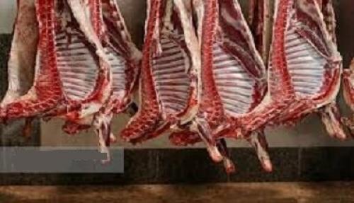  افزایش واردات گوشت قرمز طی روزهای آتی/ کمبودی در ماه رمضان نداریم