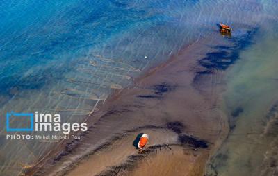 صیدماهی درخزر