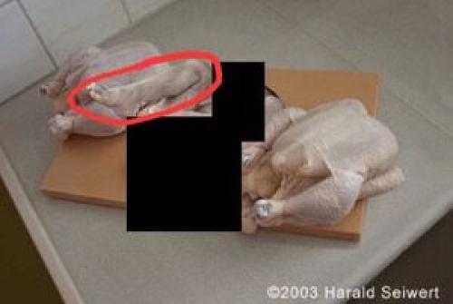 نوزاددر پرونده اپستین