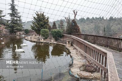 باغ پرندگان