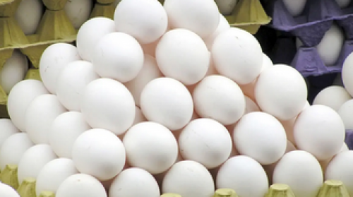 قیمت هر شانه تخم مرغ  یکشنبه ۱۲ بهمن