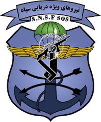 فیلم/ چتربازی تقنگداران دریایی سپاه در خلیج فارس