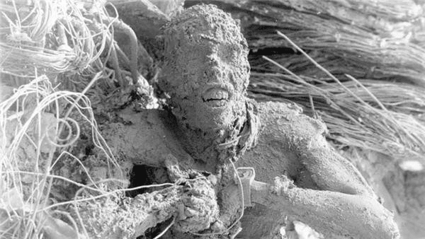 عاقبت ۸ نظامی آمریکایی کشته شده 