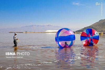 وقتی تالاب می میرد