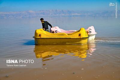 وقتی تالاب می میرد