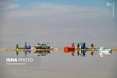 وقتی تالاب می میرد