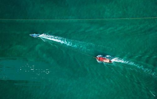 تصاویرصیدماهی درخزر