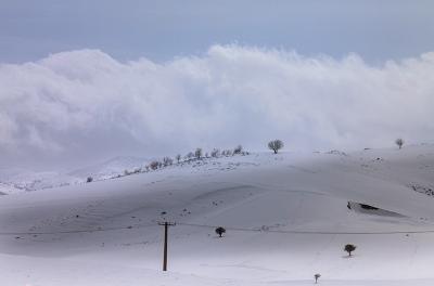 بارش زیبای برف در خرم آباد /عکس
