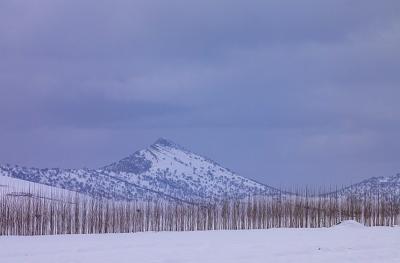 بارش زیبای برف در خرم آباد /عکس