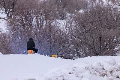 بارش زیبای برف در خرم آباد /عکس