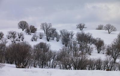 بارش زیبای برف در خرم آباد /عکس