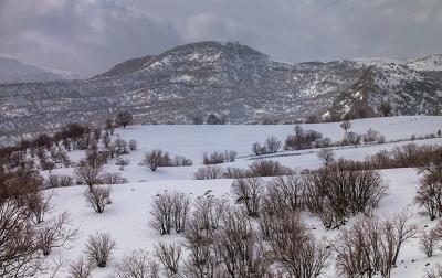 بارش زیبای برف در خرم آباد /عکس