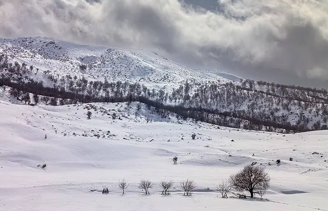 بارش زیبای برف در خرم آباد /عکس