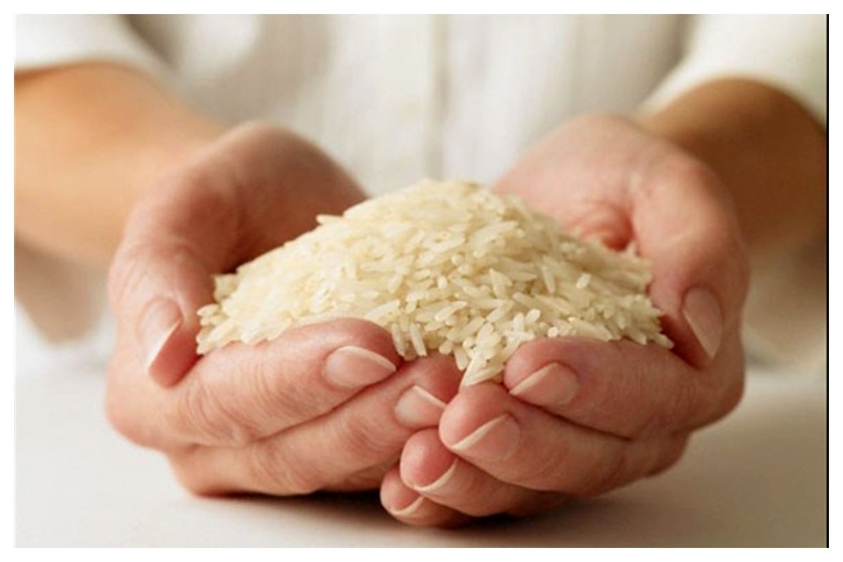  قیمت جدید برنج هندی و پاکستانی