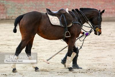 تصاویر مسابقه فینال چوگان