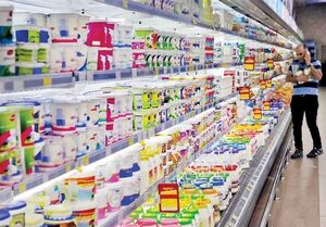  مهمترین تصمیم اقتصادی دولت برای دفاع از معیشت مردم/ طرح پایداری قیمت برای ۱۱۰ قلم کالا