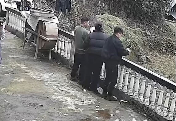 ریزش ناگهانی تراس باغ زیر پای سه دوست /فیلم