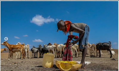 میلیون‌ها کنیایی در آستانه گرسنگی/عکس