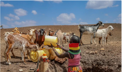 میلیون‌ها کنیایی در آستانه گرسنگی/عکس