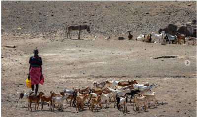 میلیون‌ها کنیایی در آستانه گرسنگی/عکس