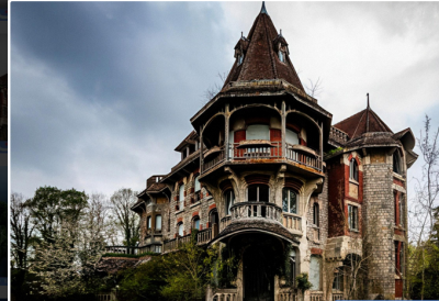 طبیعت در غیاب انسان چه اتفاقی می‌افتد؟ /عکس