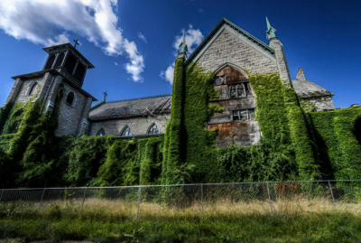 طبیعت در غیاب انسان چه اتفاقی می‌افتد؟ /عکس