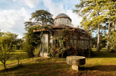 طبیعت در غیاب انسان چه اتفاقی می‌افتد؟ /عکس