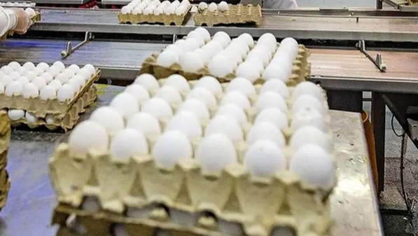 قیمت جدید تخم‌مرغ در آستانه ماه رمضان 